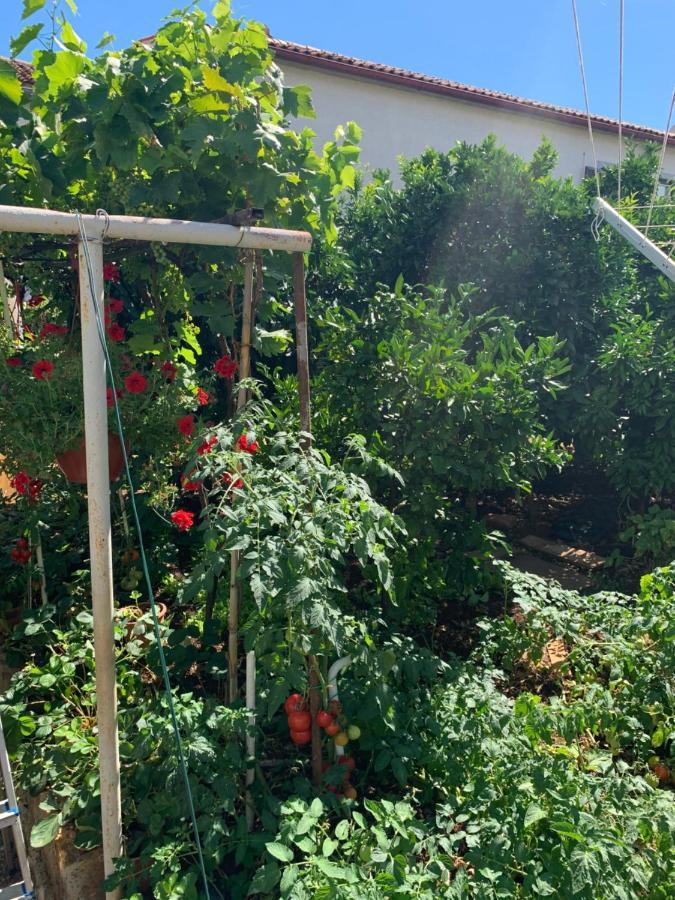 Taverna Coctel Пореч Екстериор снимка