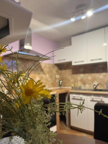 Taverna Coctel Пореч Екстериор снимка